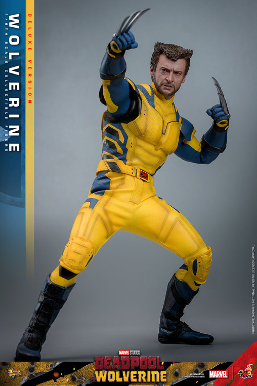 Deadpool und Wolverine: Wolverine - Deluxe, 1/6 Figur von Hot Toys