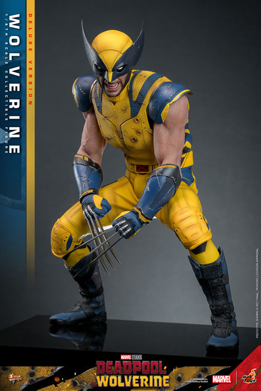 Deadpool und Wolverine: Wolverine - Deluxe, 1/6 Figur von Hot Toys