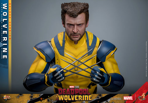 Deadpool und Wolverine: Wolverine - Deluxe, 1/6 Figur von Hot Toys