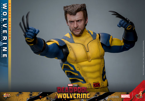 Deadpool und Wolverine: Wolverine - Deluxe, 1/6 Figur von Hot Toys
