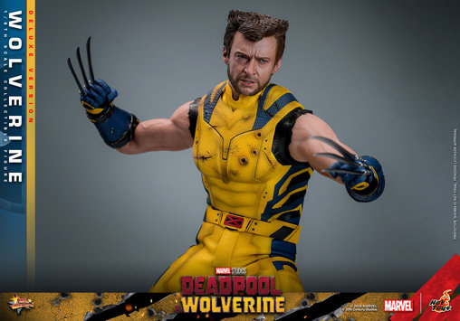 Deadpool und Wolverine: Wolverine - Deluxe, 1/6 Figur von Hot Toys