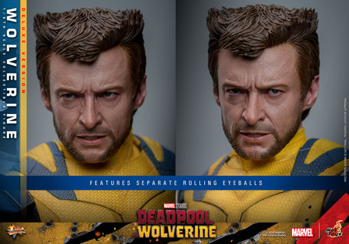 Deadpool und Wolverine: Wolverine - Deluxe, 1/6 Figur von Hot Toys