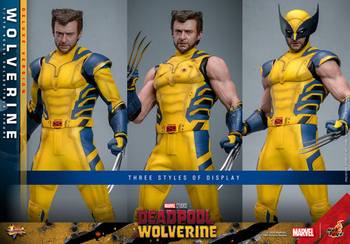 Deadpool und Wolverine: Wolverine - Deluxe, 1/6 Figur von Hot Toys