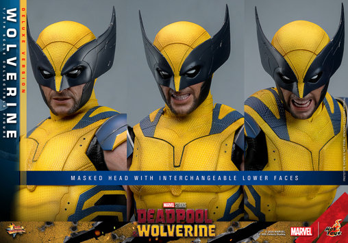 Deadpool und Wolverine: Wolverine - Deluxe, 1/6 Figur von Hot Toys