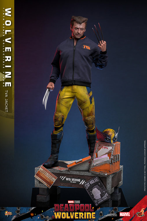 Deadpool und Wolverine: Wolverine - TVA Jacket Version, 1/6 Figur von Hot Toys