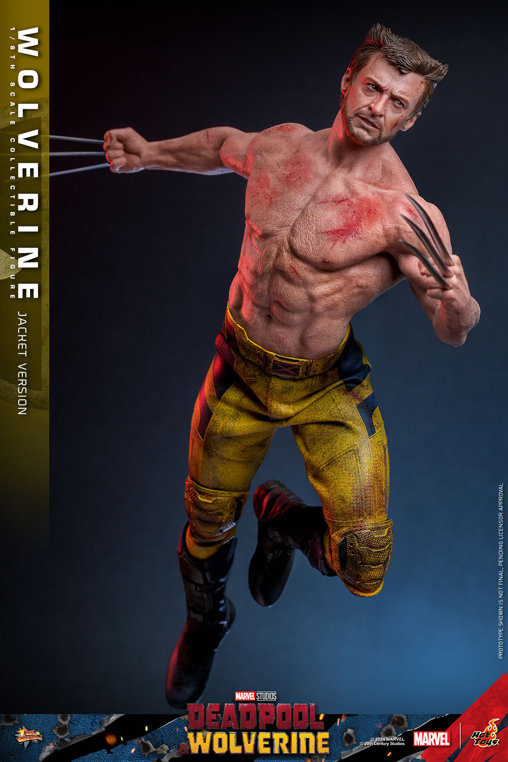 Deadpool und Wolverine: Wolverine - TVA Jacket Version, 1/6 Figur von Hot Toys