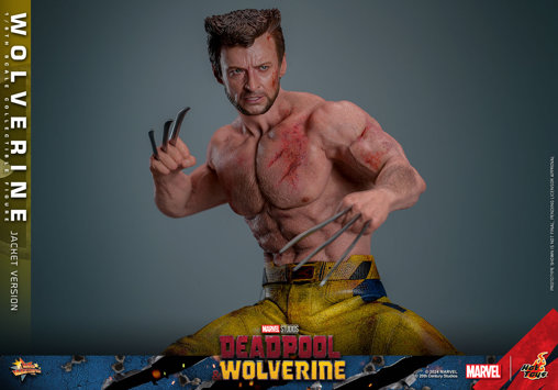 Deadpool und Wolverine: Wolverine - TVA Jacket Version, 1/6 Figur von Hot Toys