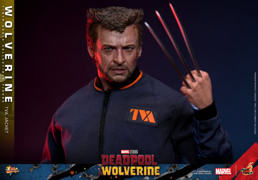 Deadpool und Wolverine: Wolverine - TVA Jacket Version, 1/6 Figur von Hot Toys