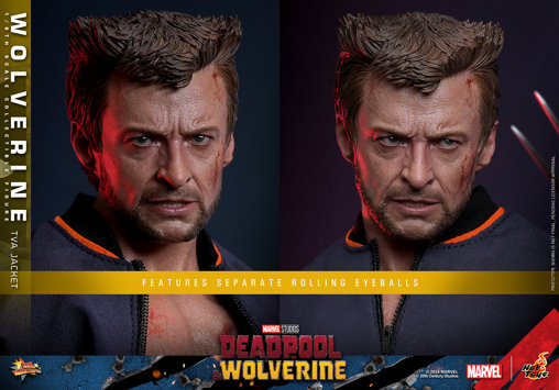 Deadpool und Wolverine: Wolverine - TVA Jacket Version, 1/6 Figur von Hot Toys