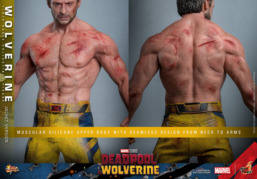 Deadpool und Wolverine: Wolverine - TVA Jacket Version, 1/6 Figur von Hot Toys