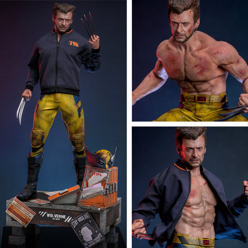 Deadpool und Wolverine: Wolverine - TVA Jacket Version, 1/6 Figur von Hot Toys