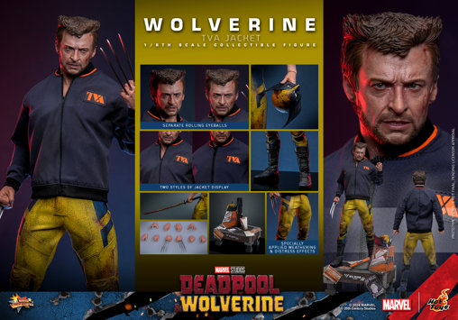 Deadpool und Wolverine: Wolverine - TVA Jacket Version, 1/6 Figur von Hot Toys