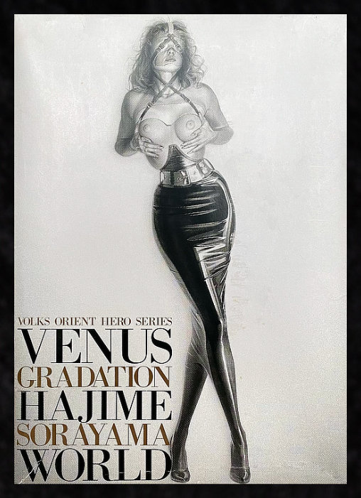 Hajime Sorayama: Blind Beauty, Modell-Bausatz von Volks