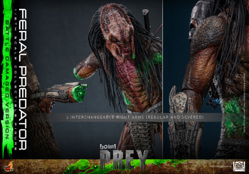 Prey: Feral Predator - Battle Damaged, 1/6 Figur von Hot Toys