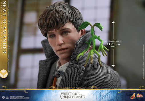 Phantastische Tierwesen - Grindelwalds Verbrechen: Newt Scamander, 1/6 Figur von Hot Toys