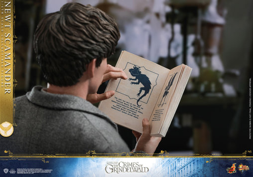 Phantastische Tierwesen - Grindelwalds Verbrechen: Newt Scamander, 1/6 Figur von Hot Toys