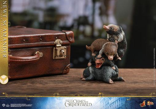 Phantastische Tierwesen - Grindelwalds Verbrechen: Newt Scamander, 1/6 Figur von Hot Toys