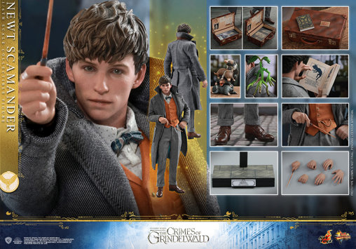 Phantastische Tierwesen - Grindelwalds Verbrechen: Newt Scamander, 1/6 Figur von Hot Toys