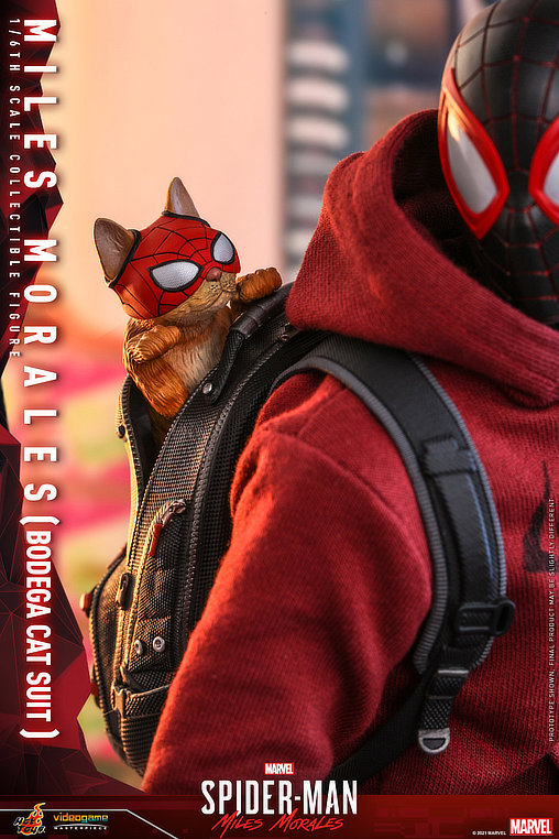 Marvels Spider-Man: Miles Morales - Bodega Cat Suit, 1/6 Figur von Hot Toys