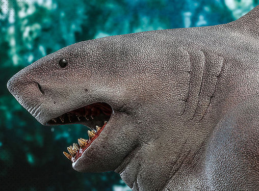 Suicide Squad: King Shark, 1/6 Figur von Hot Toys