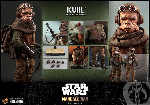 Star Wars - The Mandalorian: Kuiil, 1/6 Figur von Hot Toys