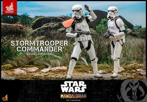 Star Wars - The Mandalorian: Stormtrooper Commander, 1/6 Figur von Hot Toys