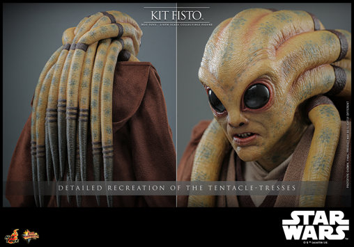 Star Wars - Episode III - Revenge of the Sith: Kit Fisto, 1/6 Figur von Hot Toys