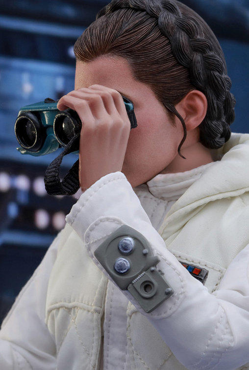 Star Wars - Episode V - The Empire Strikes Back: Prinzessin Leia - Hoth, 1/6 Figur von Hot Toys
