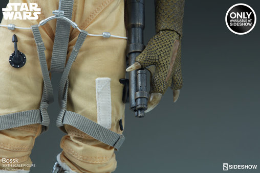 Star Wars - Episode V - The Empire Strikes Back: Bossk, 1/6 Figur von Sideshow
