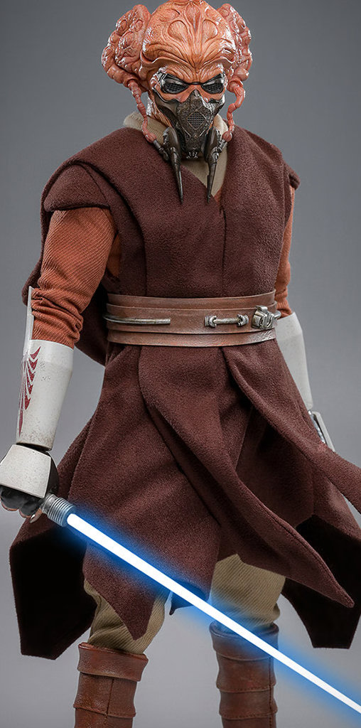 Star Wars: Plo Koon, 1/6 Figur von Hot Toys