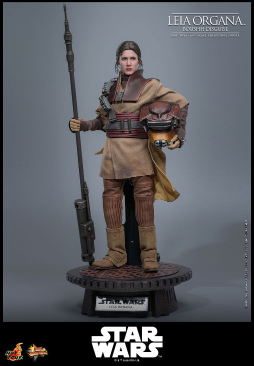 Star Wars - Episode VI - Return of the Jedi: Leia Organa - Boushh Disguise, 1/6 Figur von Hot Toys