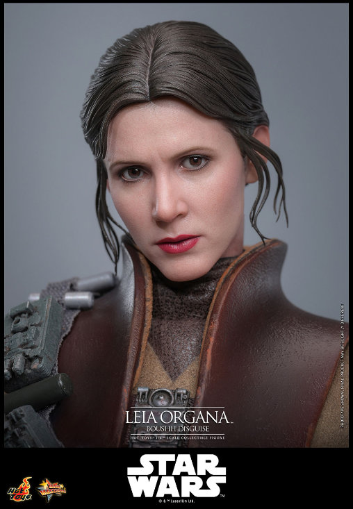 Star Wars - Episode VI - Return of the Jedi: Leia Organa - Boushh Disguise, 1/6 Figur von Hot Toys