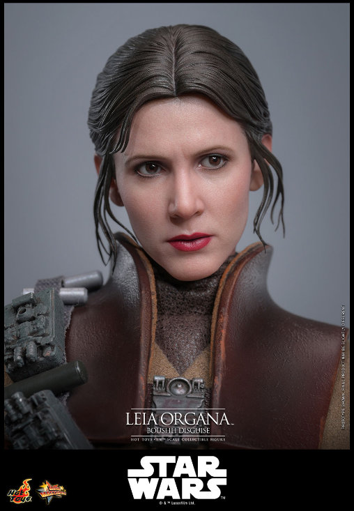Star Wars - Episode VI - Return of the Jedi: Leia Organa - Boushh Disguise, 1/6 Figur von Hot Toys