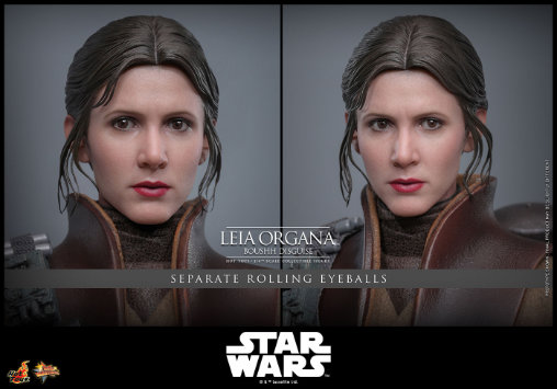 Star Wars - Episode VI - Return of the Jedi: Leia Organa - Boushh Disguise, 1/6 Figur von Hot Toys