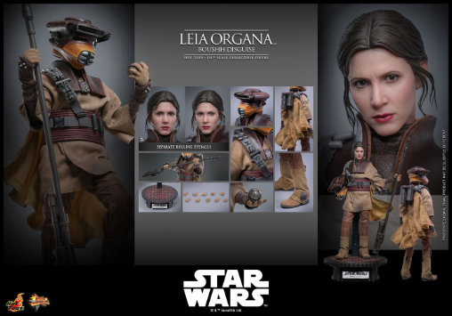 Star Wars - Episode VI - Return of the Jedi: Leia Organa - Boushh Disguise, 1/6 Figur von Hot Toys