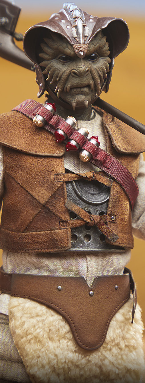 Star Wars - Episode VI - Return of the Jedi: Wooof, 1/6 Figur von Sideshow